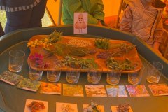 302098755_1027622817909072_2381956773571579596_n