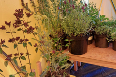 304739070_3666812590212469_6958821009344727986_n