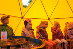 304786828_5482725925081755_2674568177601730055_n