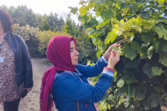 304791362_1274233556707278_2316382028527447224_n