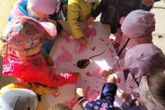 305509999_1181468132401521_2986208942015940082_n